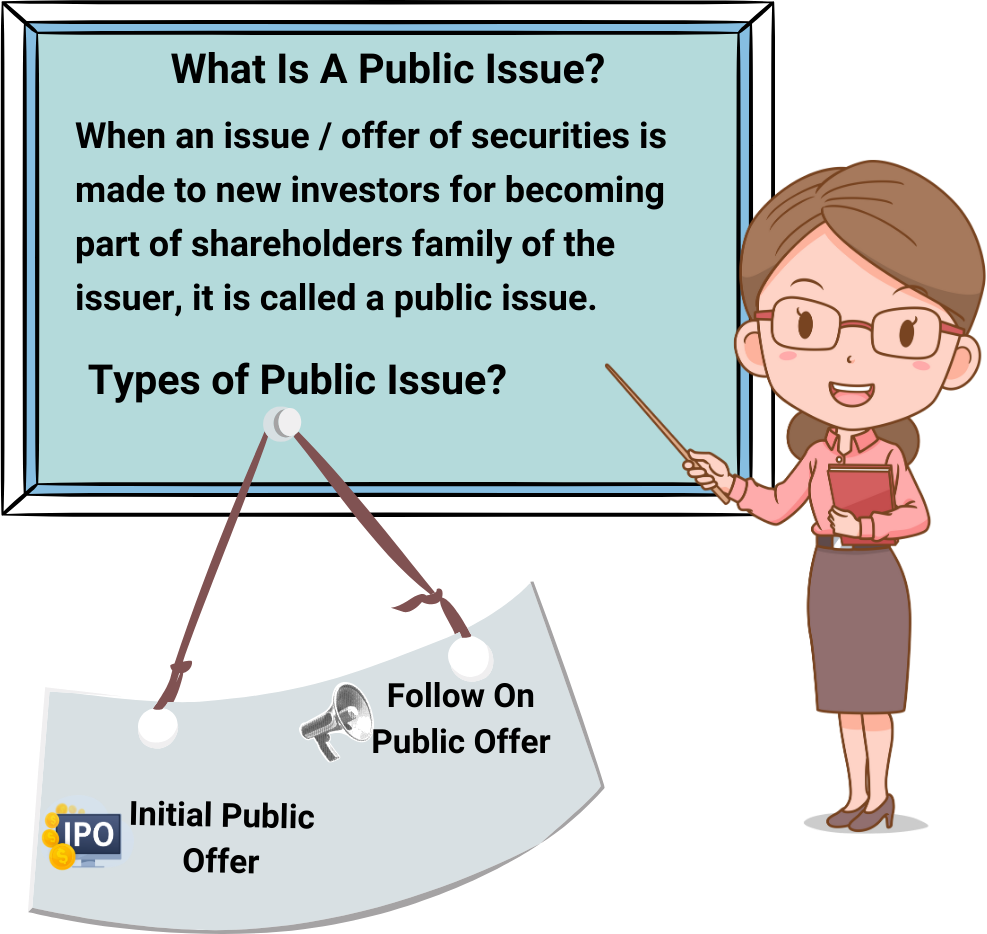 What is Public Issue