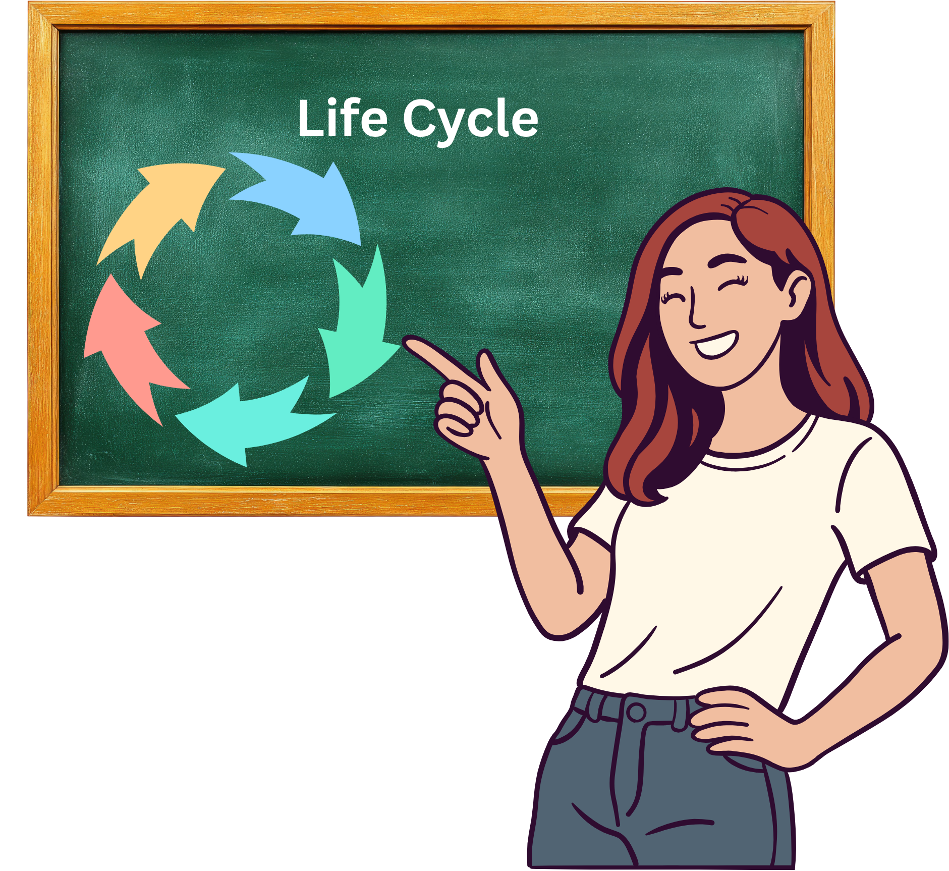 Life cycle
