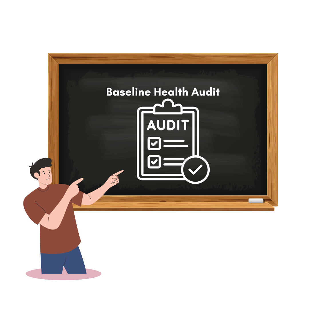 Baseline Health Audit