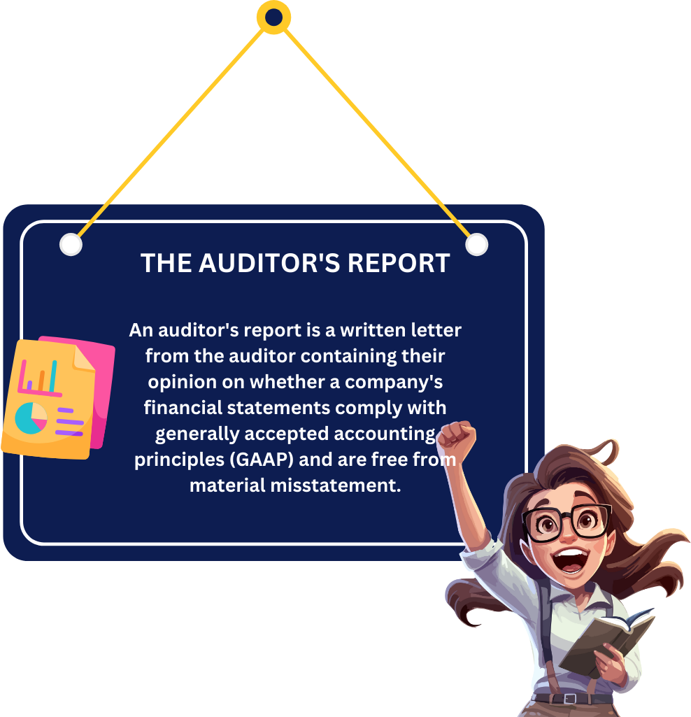 Auditors Report
