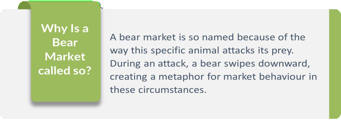 Bull vs Bear bull vs bear