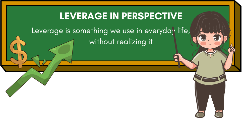 Leverage in Perspective