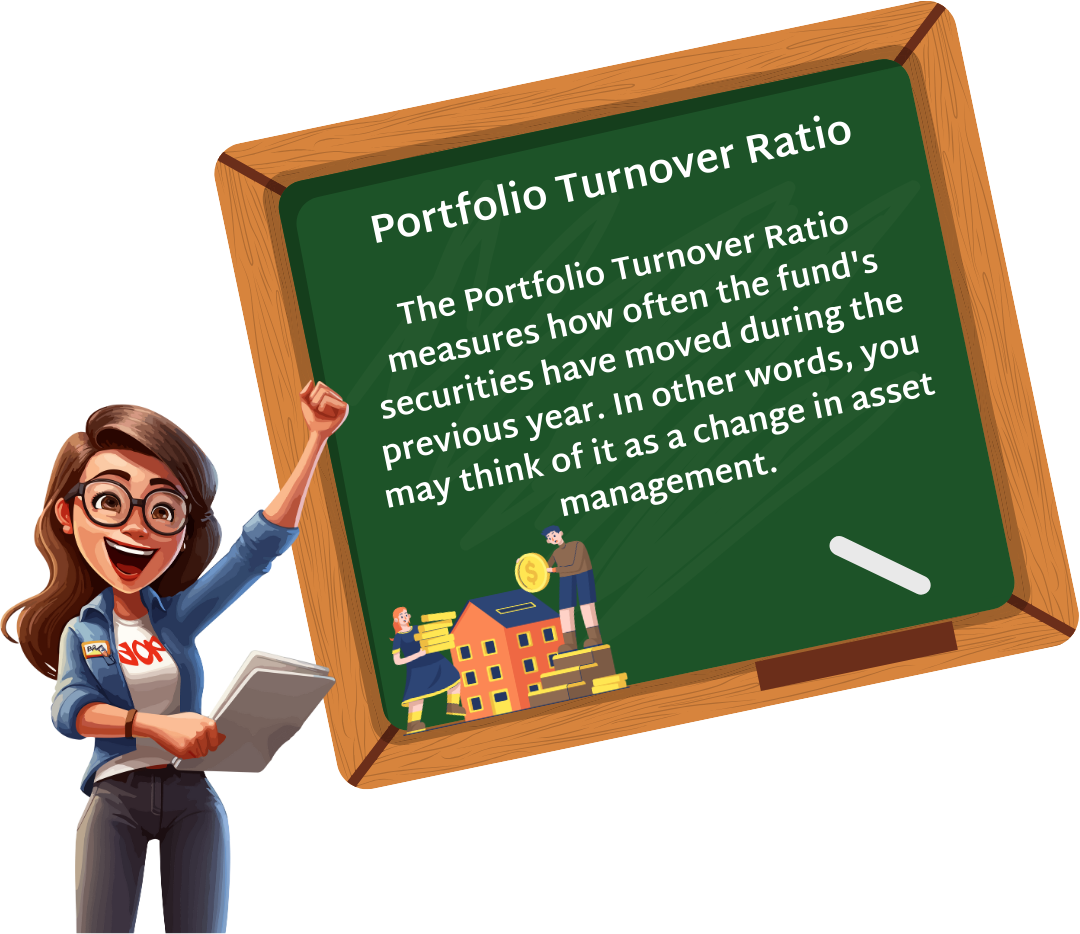 Portfolio Turnover Ratio