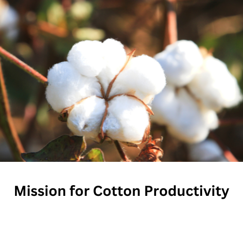 Mission for Cotton Productivity