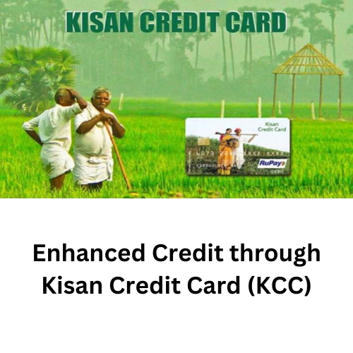 Enhanced Credit through Kisan Credit Card (KCC)