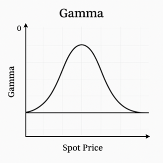 Gamma