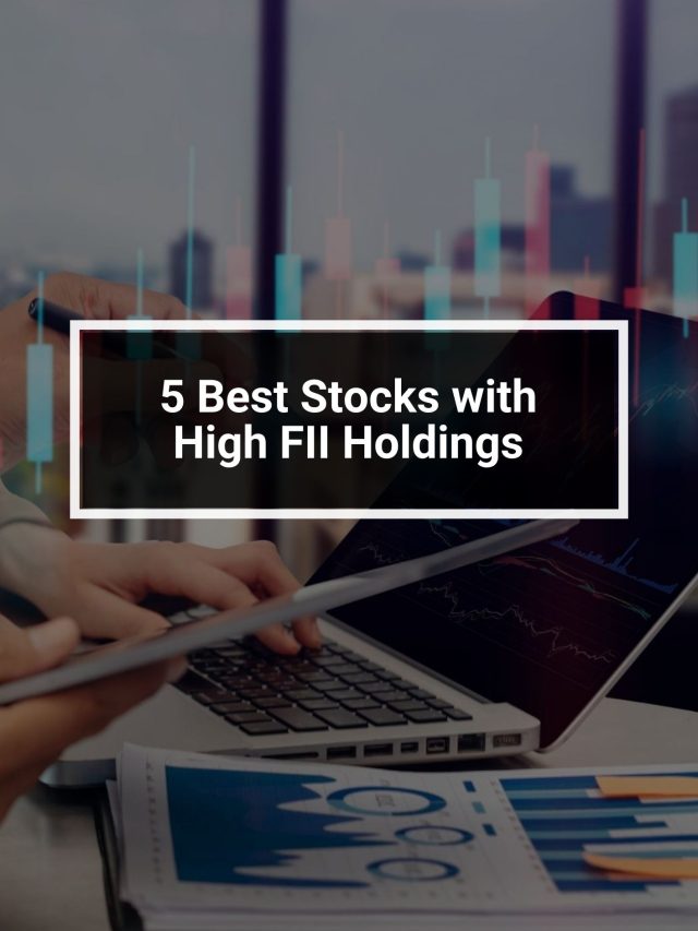 5 Best Stocks with High FII Holdings