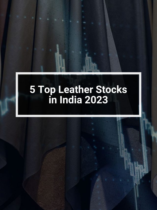 5 Top Leather Stocks in India 2023