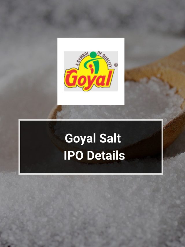 Goyal Salt IPO Details
