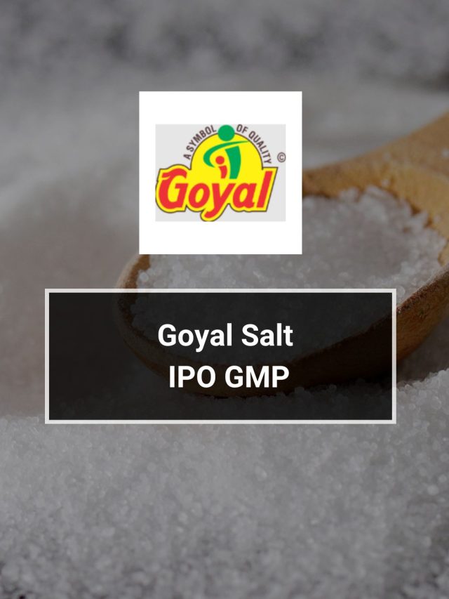 Goyal Salt IPO GMP